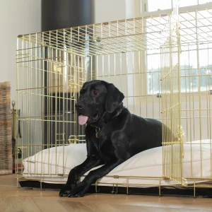Dog Cushion in Oyster Velvet by Lords & Labradors
