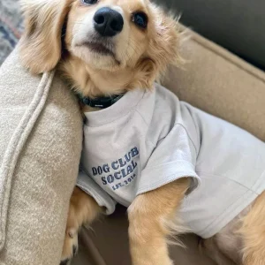 Embroidered Tee (Dog)