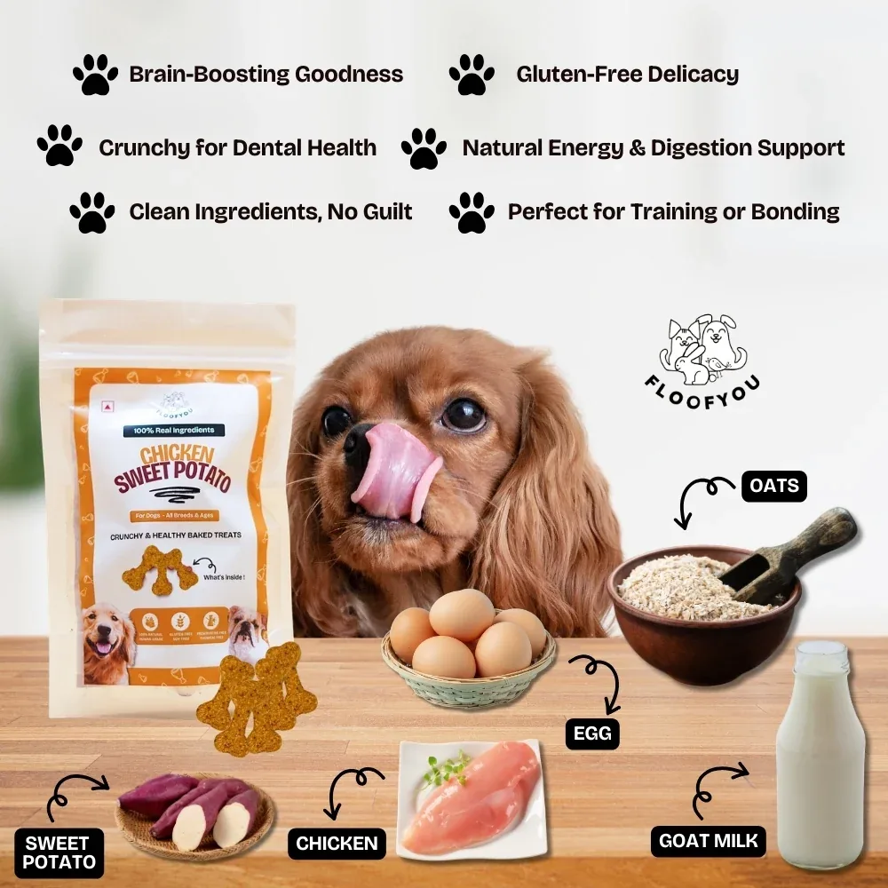 Floofyou Chicken Sweet Potato Oven Baked Cookie Dog Treats - Image 2