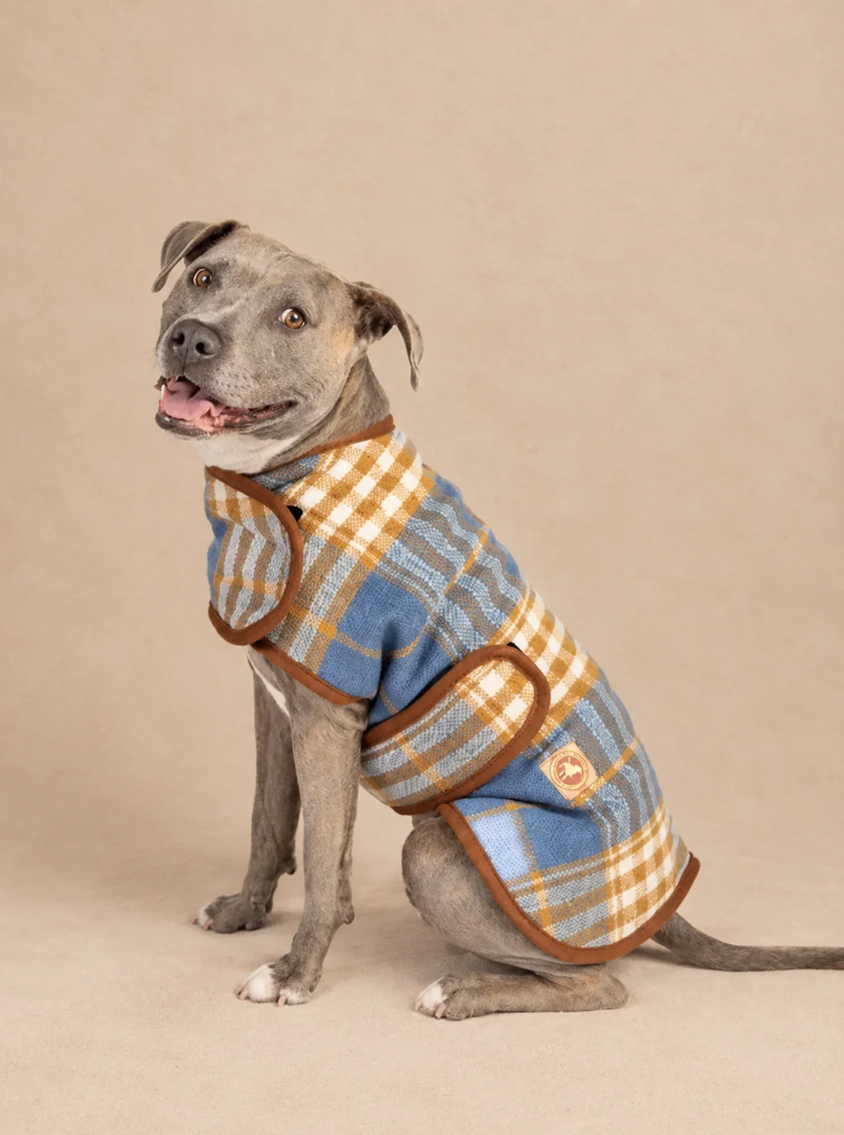 WESTERN PLAID DOG COAT - Image 2