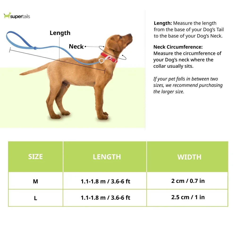 Red Dingo Lead Adjustable Classic Leash For Dogs (Red) - Image 2