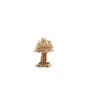 UNS Bonsai 007