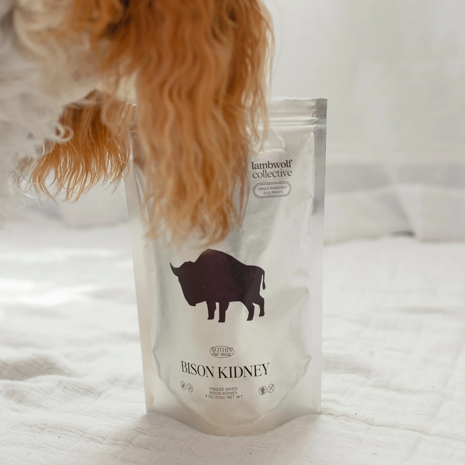 Bison Kidney - Image 2