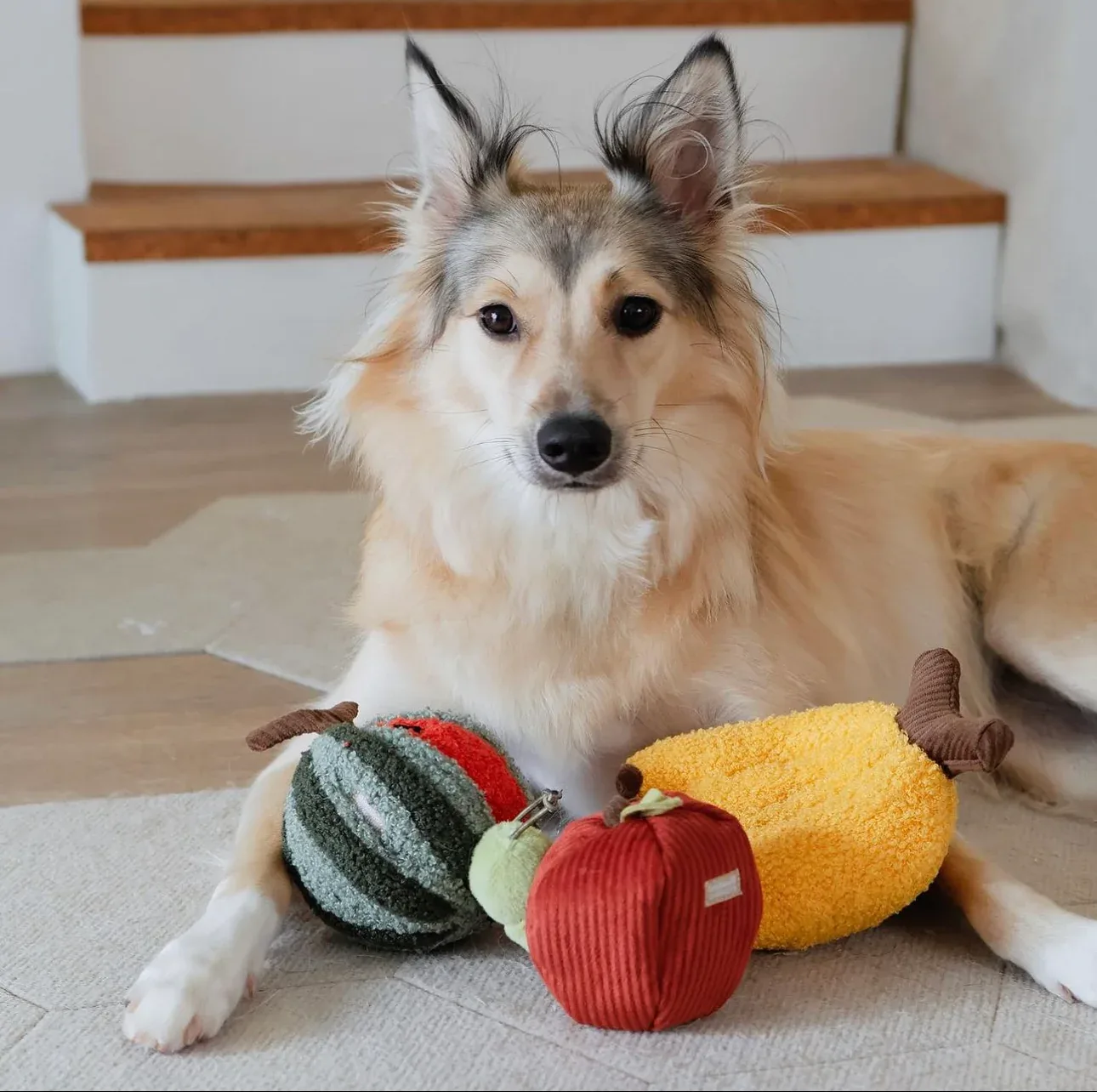FRUIT SET - Image 2