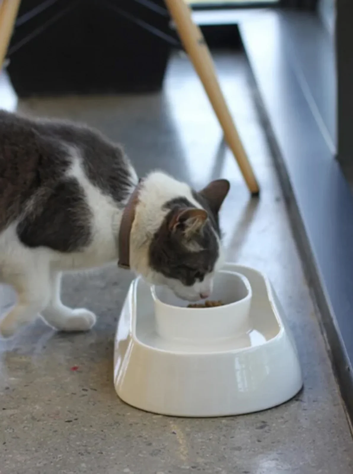 SNACK ALL DAY CERAMIC PET FOOD + WATER BOWL - Image 2