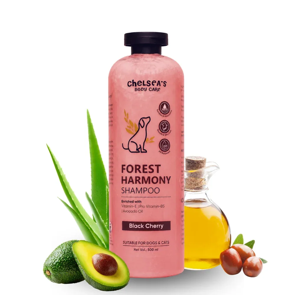 Dr. Chelsea's Forest Harmony Shampoo & Conditioner for Cats & Dogs