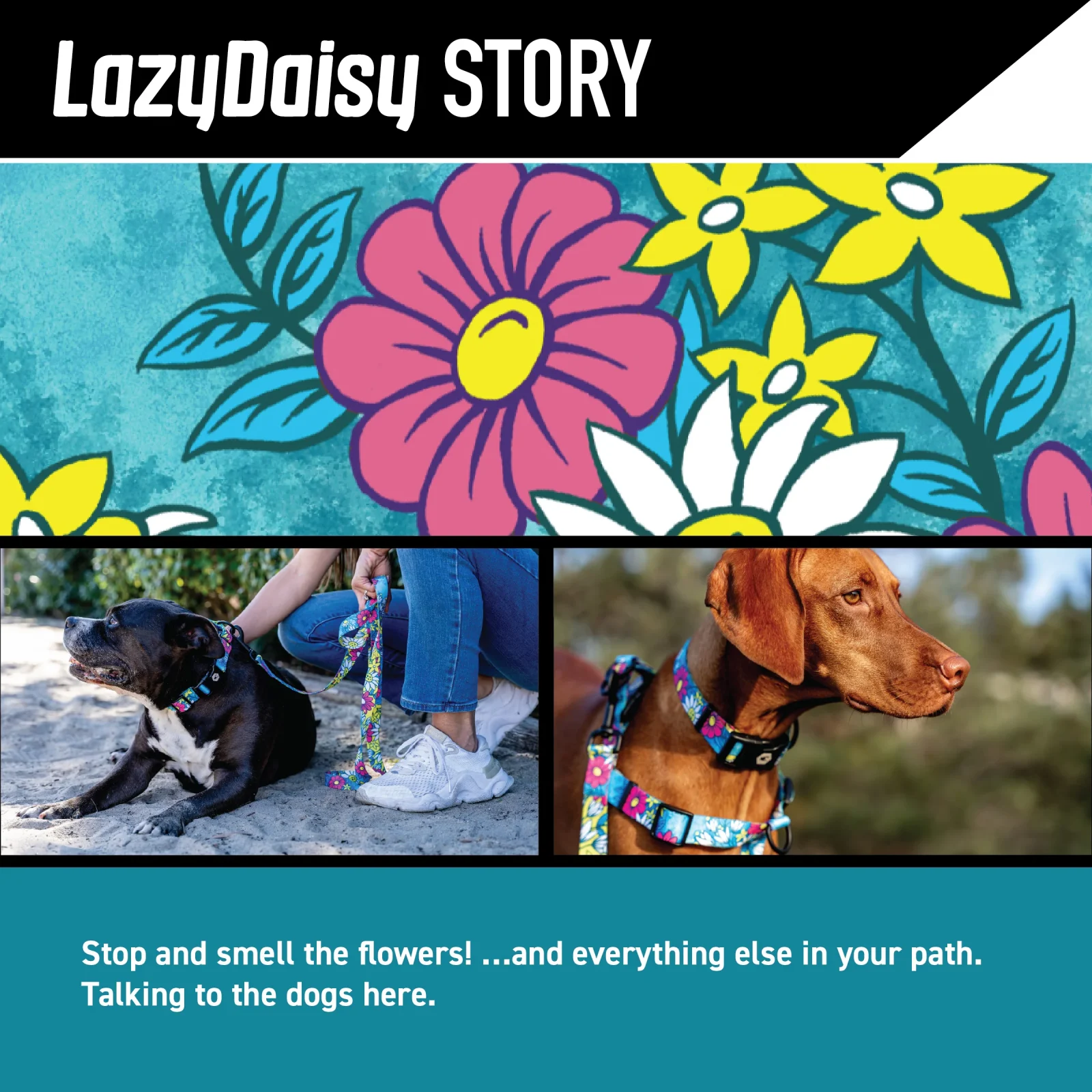 LazyDaisy COMFORT DOG HARNESS - Image 2