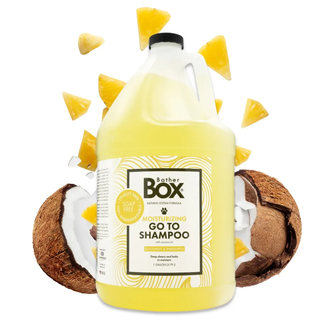 BatherBox Go To Shampoo, Coconut & Pineapple, 1 Gallon