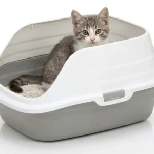 Skatrs High Sided Splash Proof & Spacious Litter Box for Cats