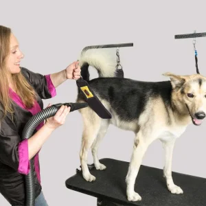 Grooming Safety by Jessica - The Belly Band, Short