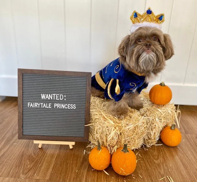 Prince Charming Costume