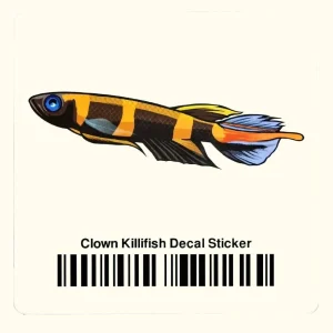 Clown Killifish Decal Sticker