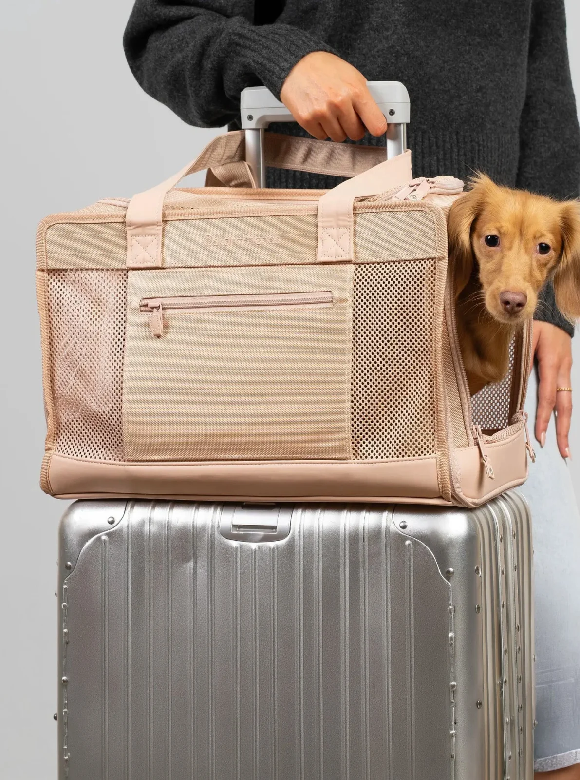 BEIGE PET TRAVEL CARRIER - Image 2