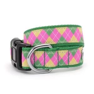 Bright Argyle Dog Collar & Lead
