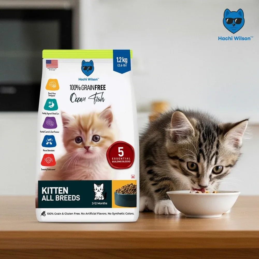 Hachi Wilson Premium Ocean Fish Kitten Dry Food - Image 2