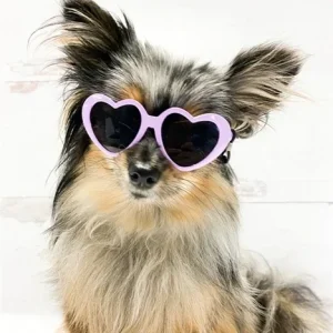 Tiny Dog Heart Sunglasses in Lavender