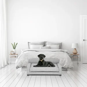 Club Nine Pets Metro Orthopedic Dog Bed in Metal