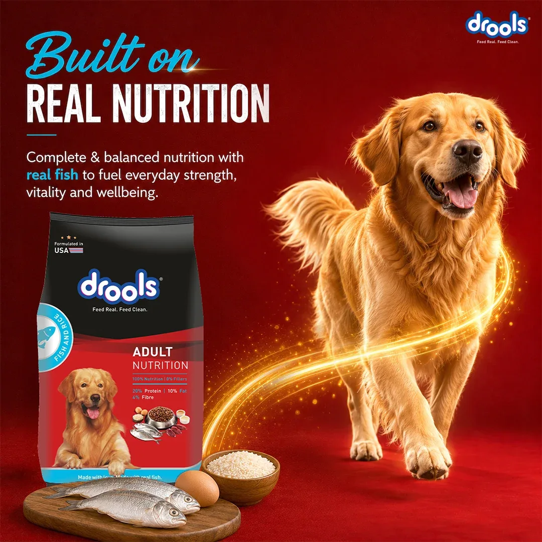 Drools Fish and Rice Adult Dog Dry Food - Image 2