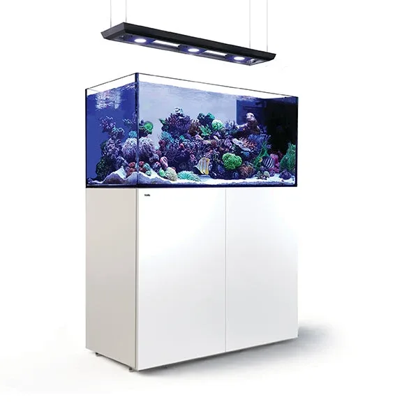 Red Sea REEFER™ DELUXE Peninsula 500 Rimless Reef Ready System, White