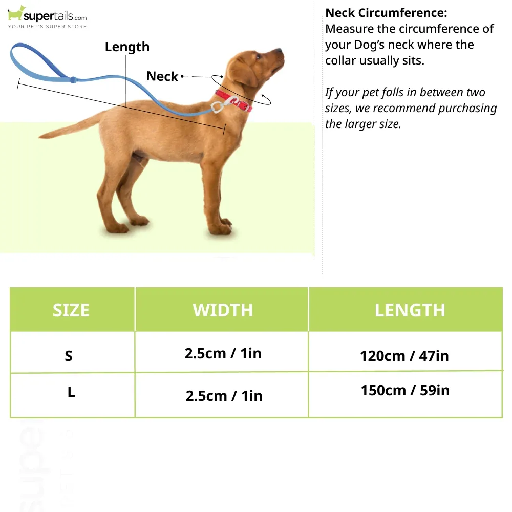 Boss Core Walk Leash for Dogs (Jet Black) - Image 2