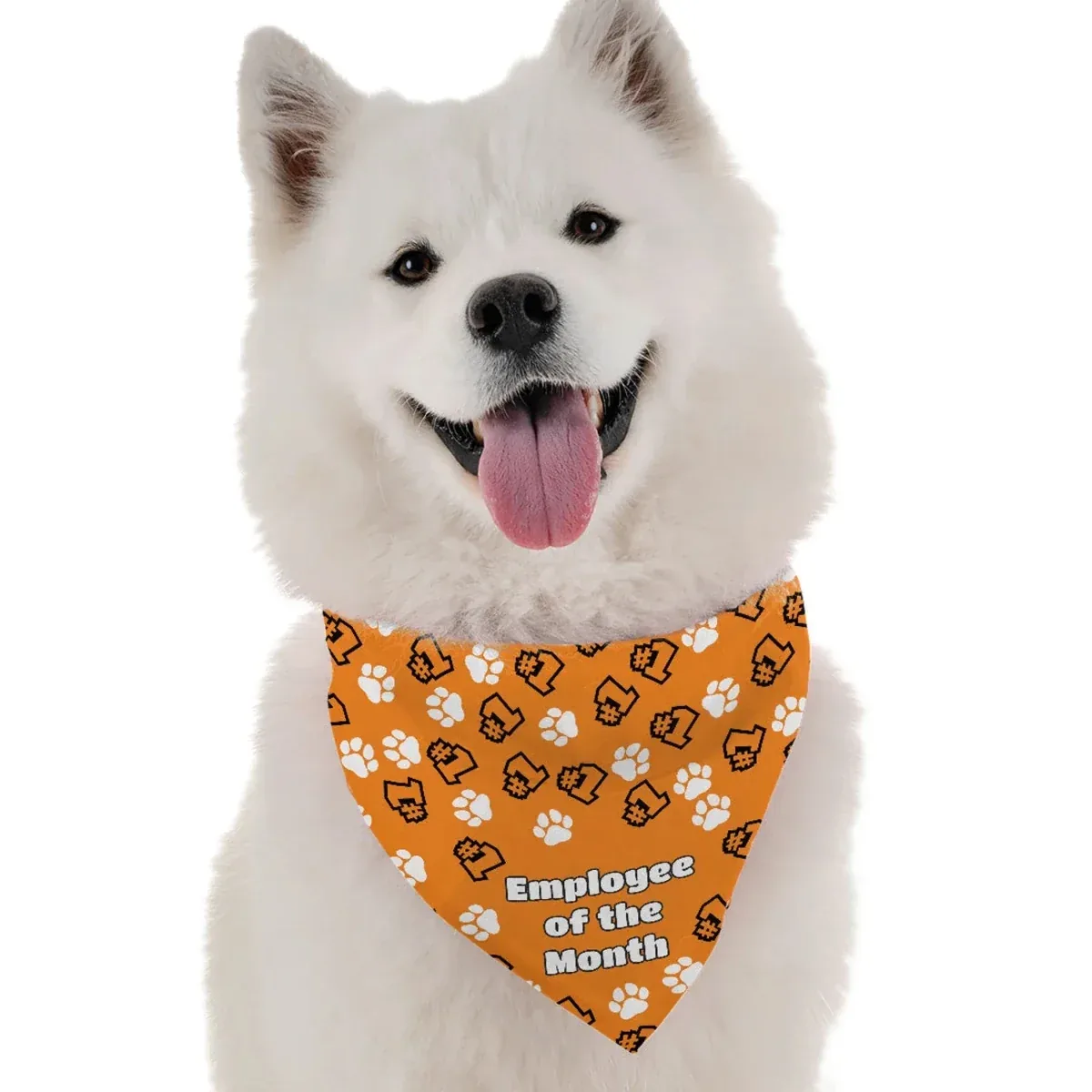 Employee of the Month Dog Bandana by Bandoggies - Image 2