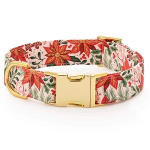 Poinsettia Dog Collar