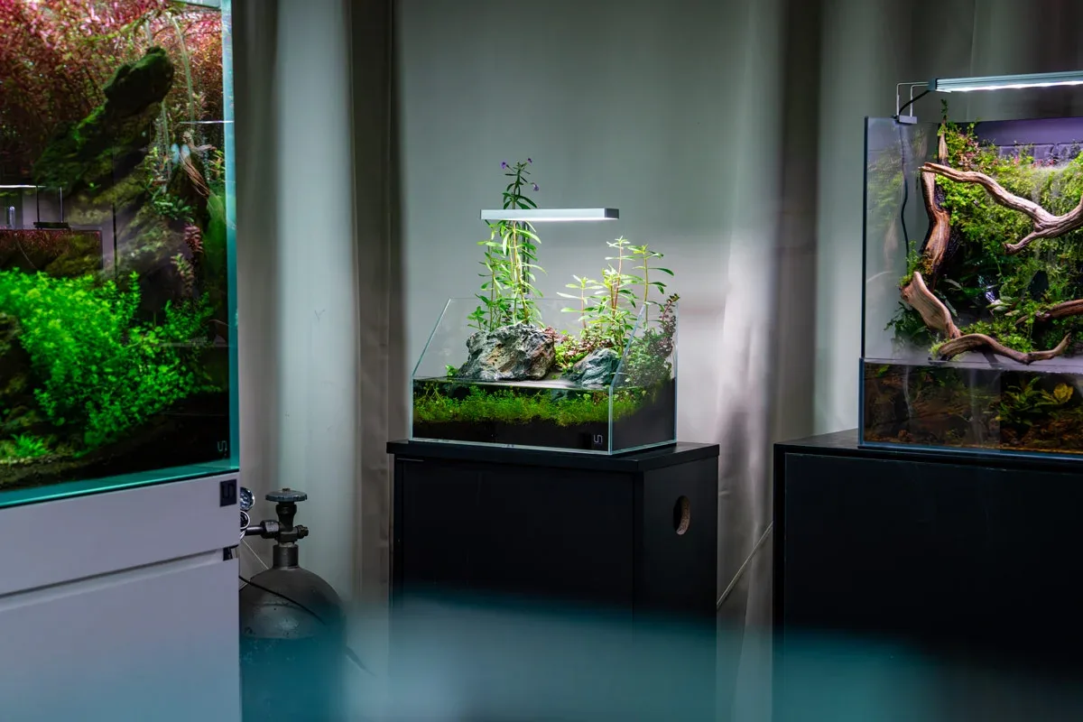 UNS 5E - 2.1 Gallon Ultra Clear Rimless Paludarium - Image 2