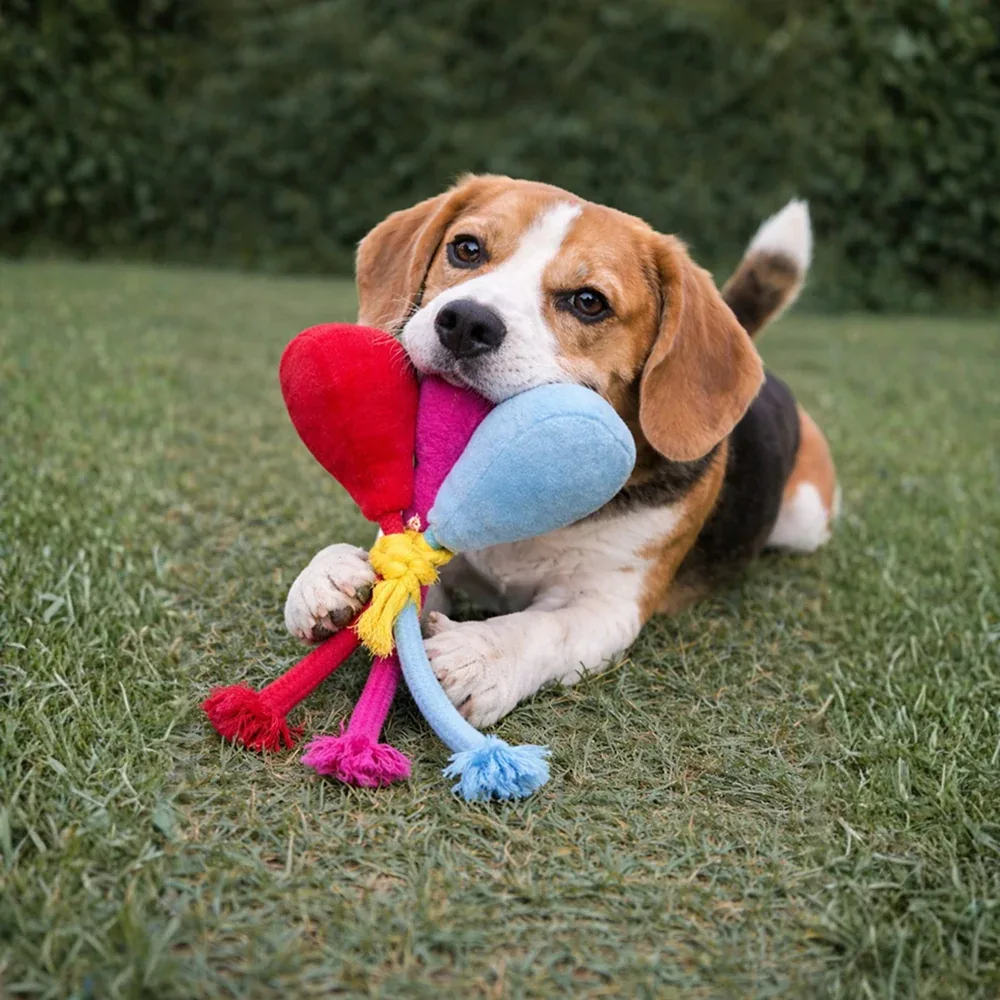 Pawgypets Balloon Plush with Rope Toy for Dogs