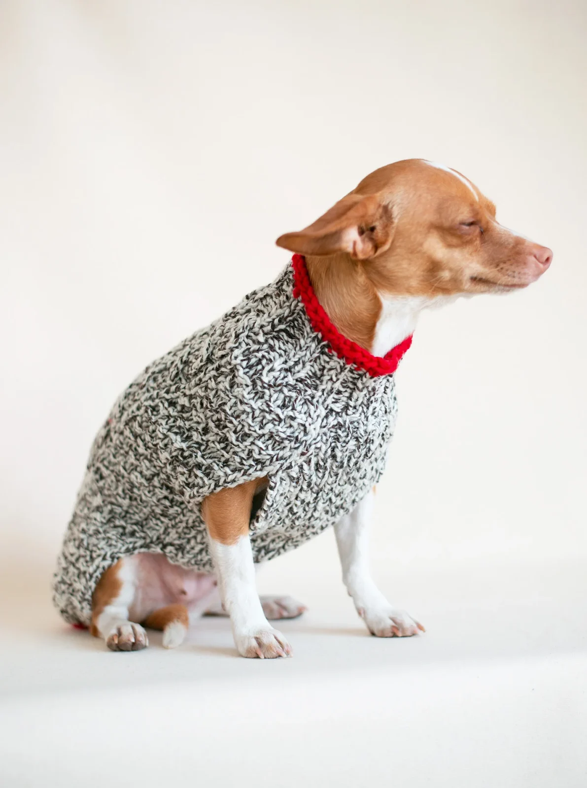 OATMEAL CABLE KNIT DOG SWEATER - Image 2