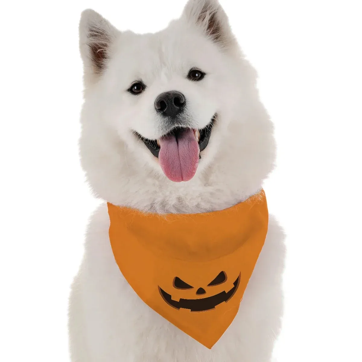 Jack-O-Lantern - Image 2