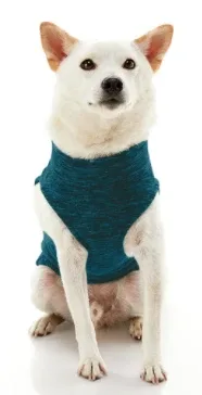 Zip Up Fleece Wash in Turquoise Wash - Image 2