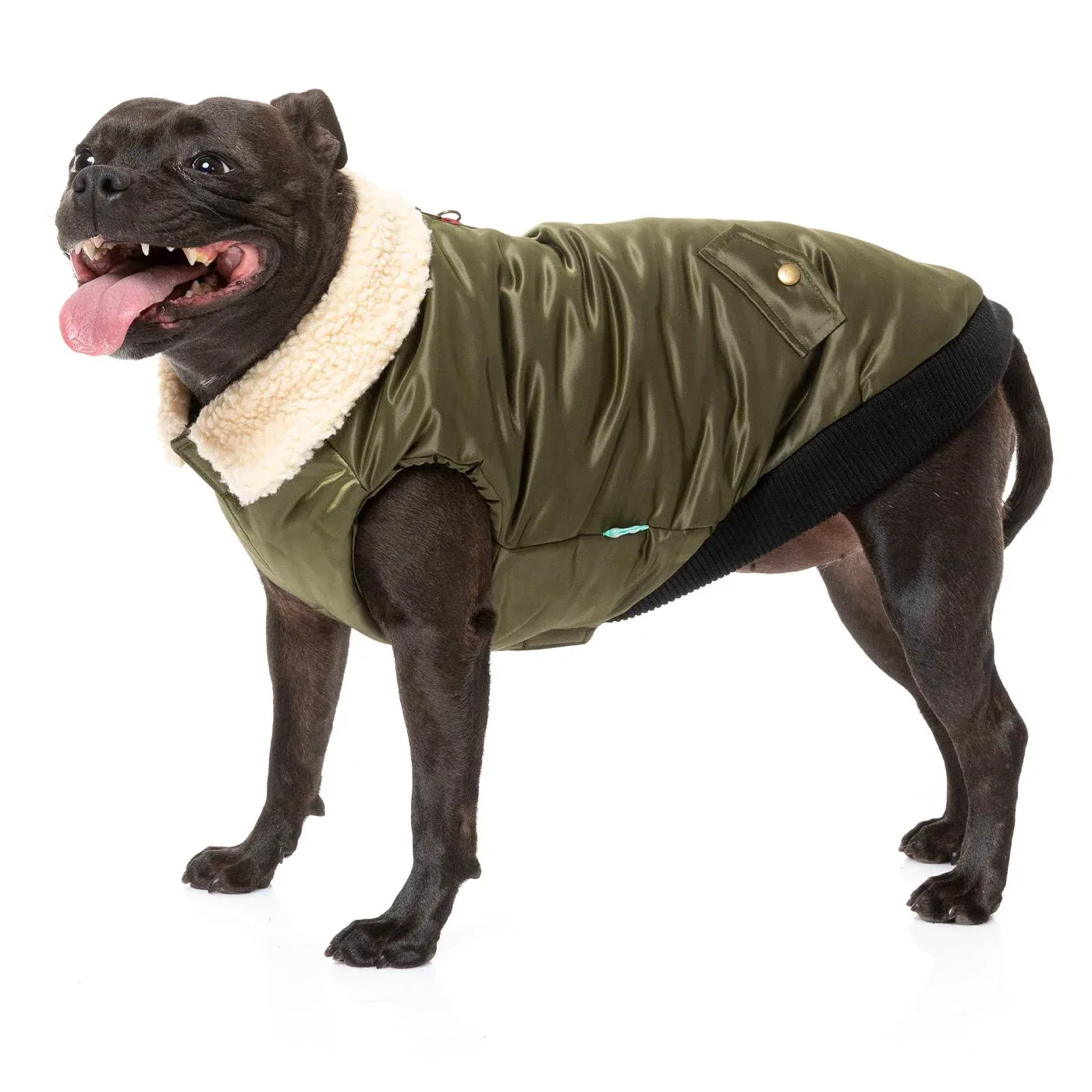FuzzYard The Zoomie Jacket - Image 2