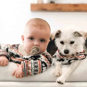 The Great Yukon Sweater (Dog & Kid Sizes Left)