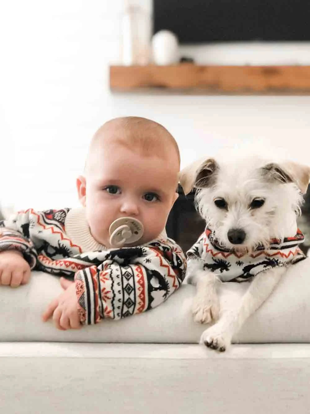 The Great Yukon Sweater (Dog & Kid Sizes Left)