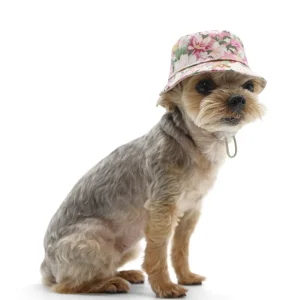 Bucket Hat Blossom