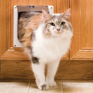 Interior Cat Door - 2 Way Locking