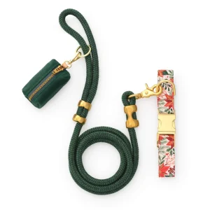 Poinsettia Collar Walk Set