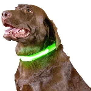 Furhaven LED Safety Pet Collar - Green (Large)