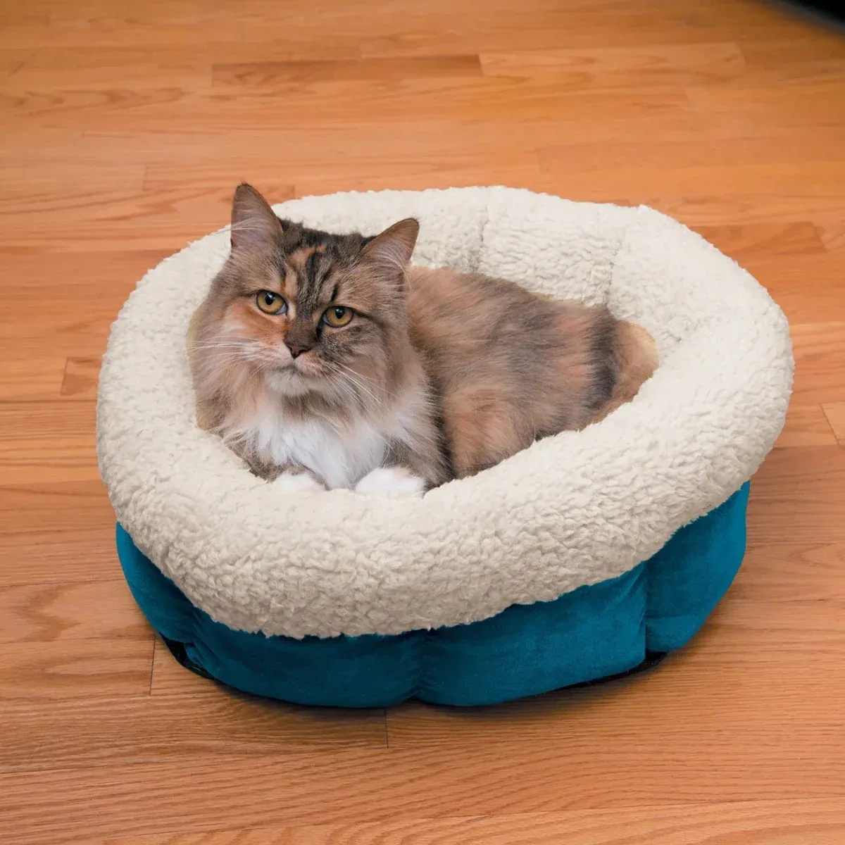 Slumber Pet Cat Snuggle Bed 18 in