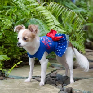 All American Girl Dress
