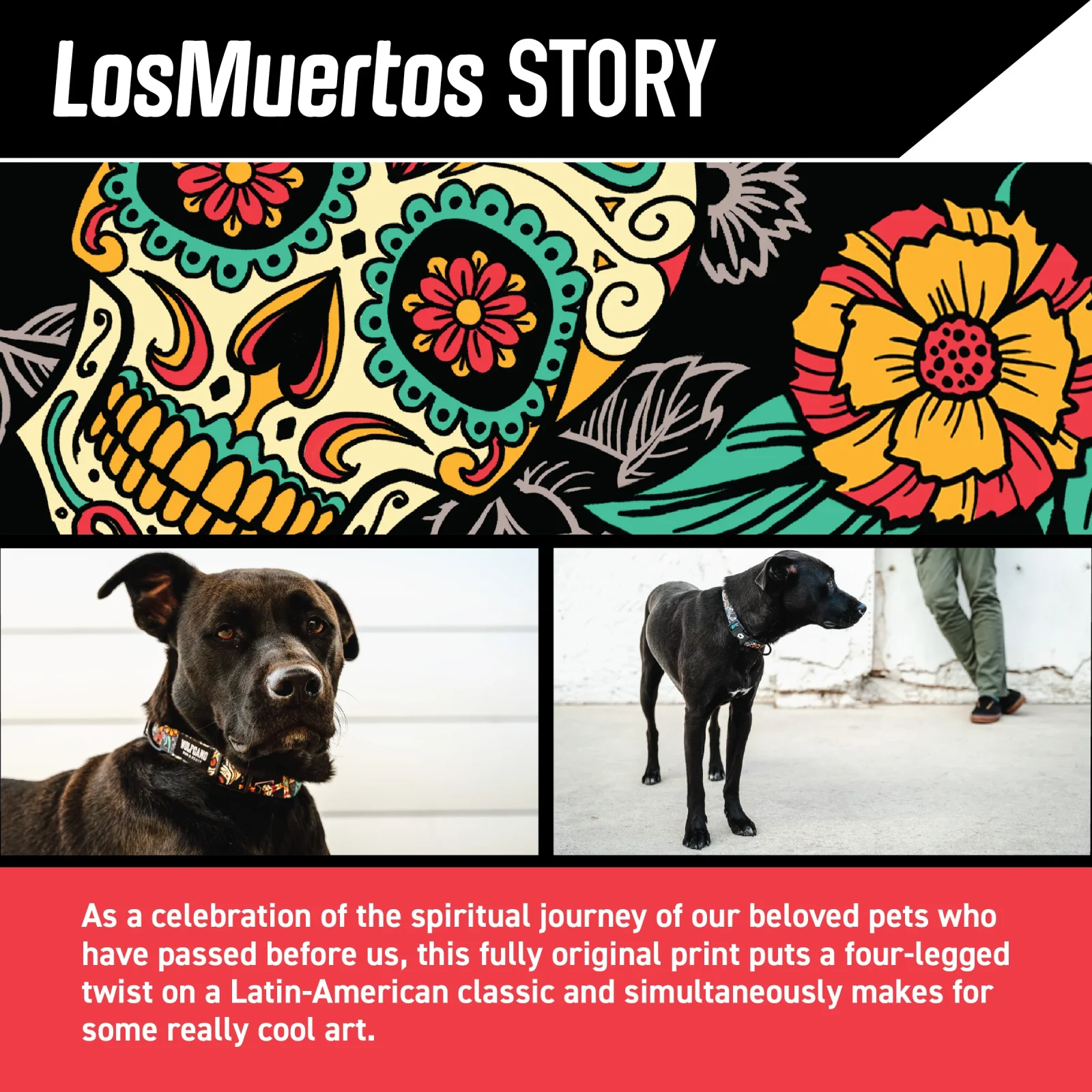 LosMuertos Wide Dog Collar - Image 2