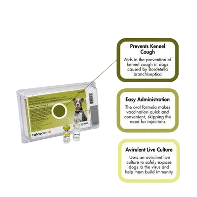 Nobivac® Canine Intra-Trac® Oral Bb - Image 2