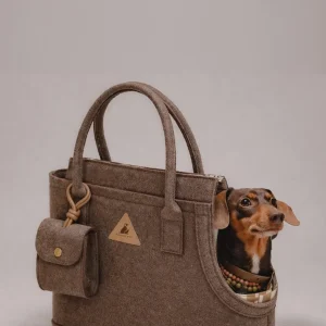 ASH DOG CARRIER