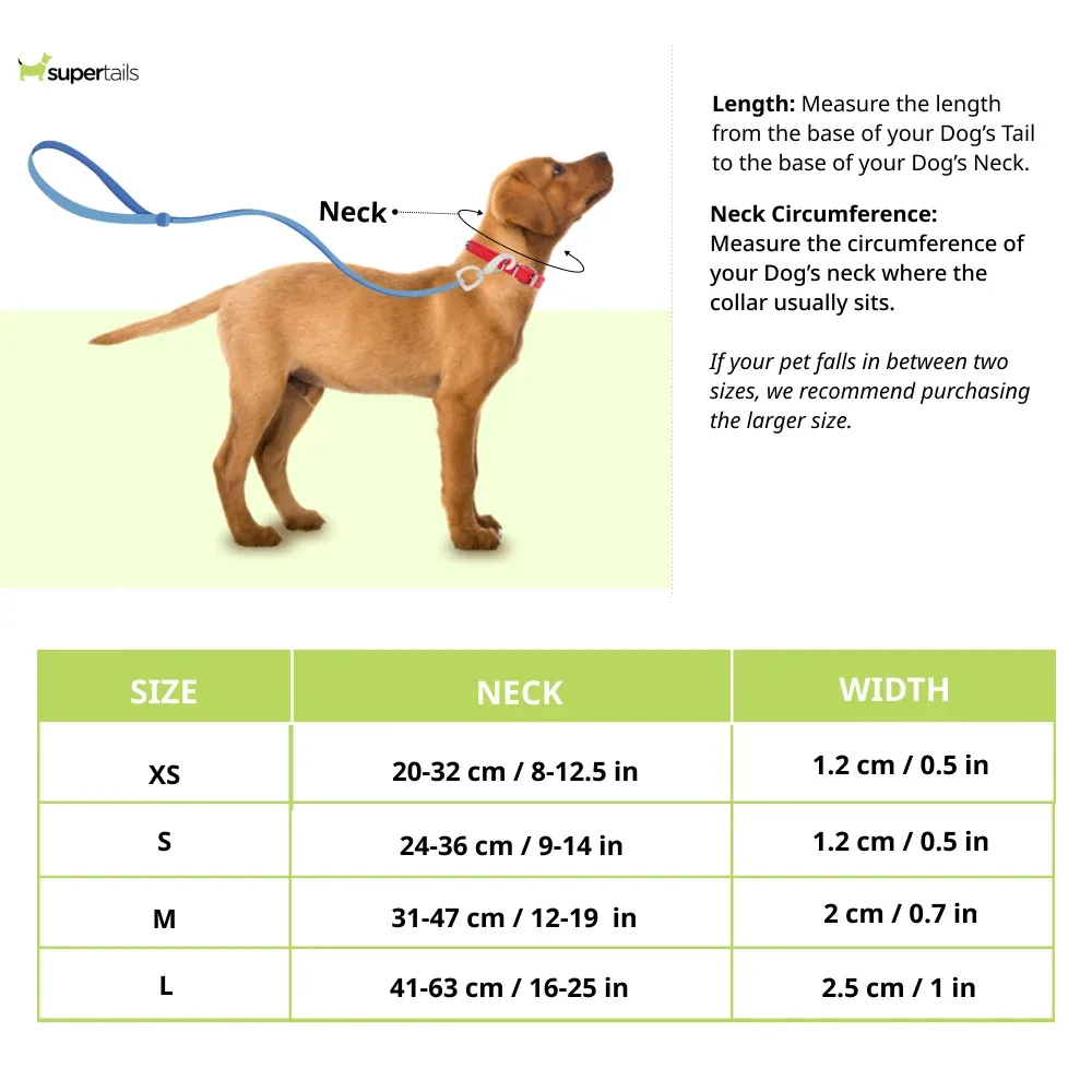 Red Dingo Classic Collar for Dogs (Red) - Image 2