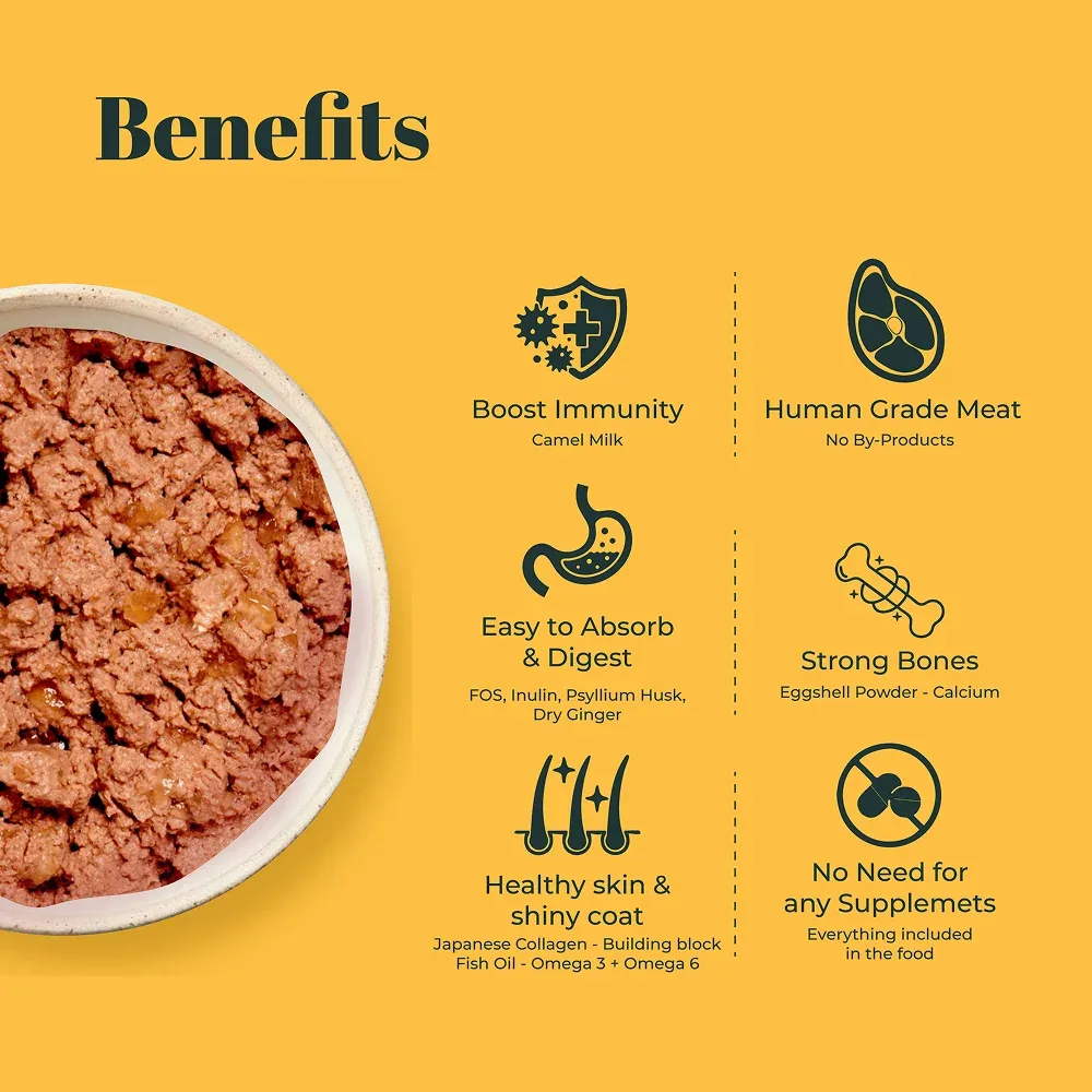 IndieCat Royal Pate Chicken and Liver Adult Cat Wet Food - Image 2