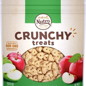 Nutro Apple Crunchy Biscuit Dog Treats - 16 oz - Case of 12