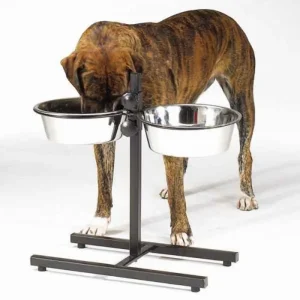 ProSelect Adjustable Diner with/Bowls 160 oz