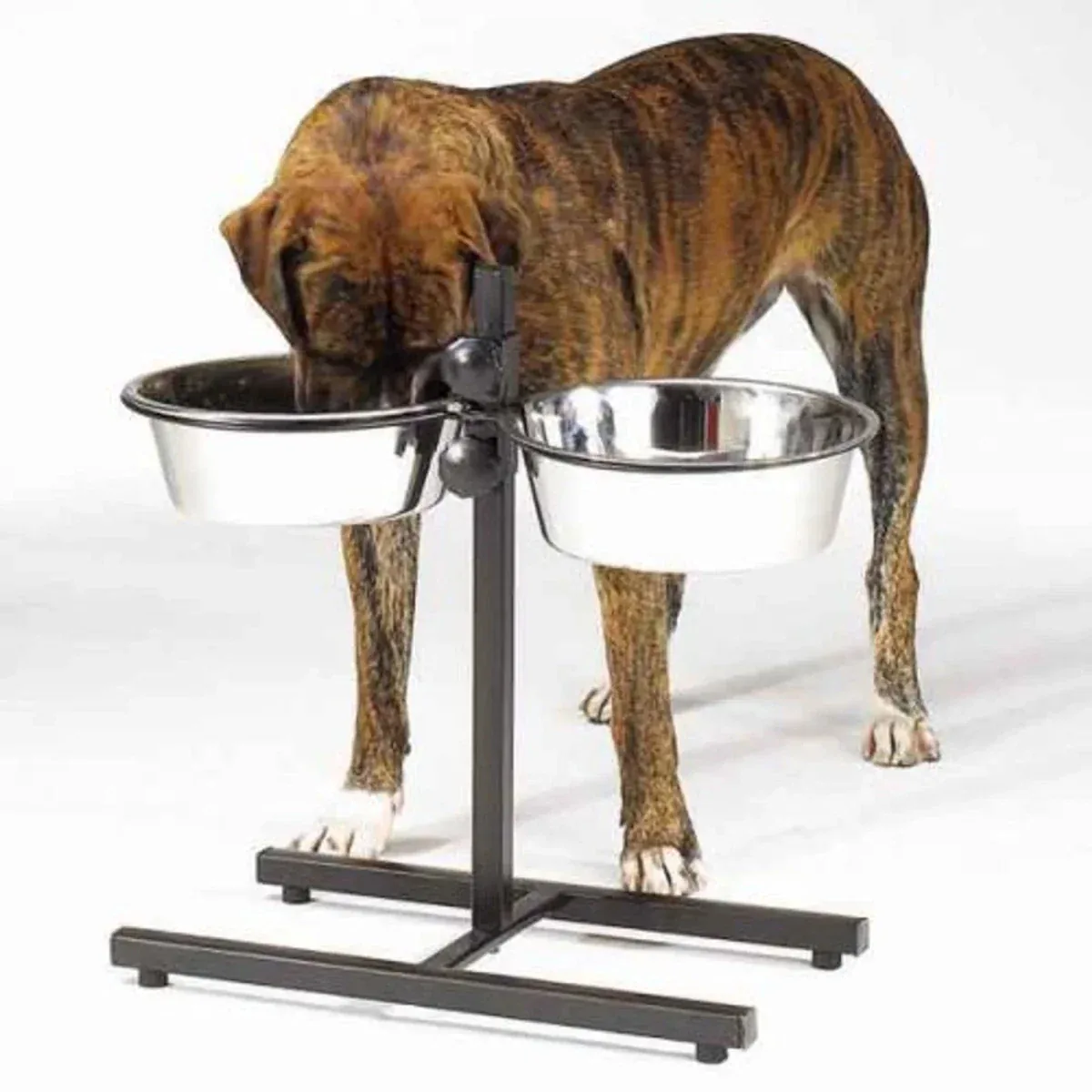 ProSelect Adjustable Diner with/Bowls 160 oz