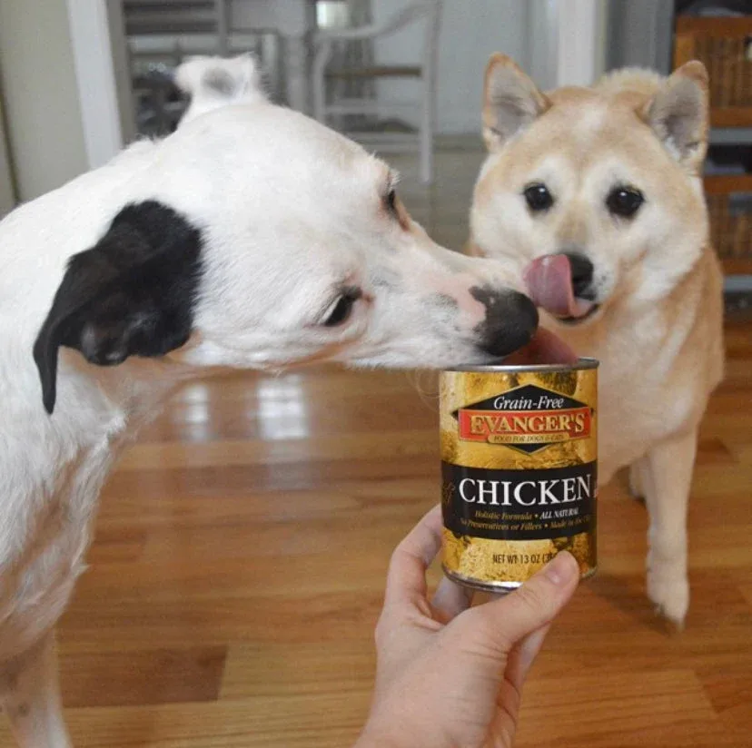 Evanger's Grain Free Chicken Canned Dog and Cat Food - 13 oz Cans - Case of 12 - Image 2