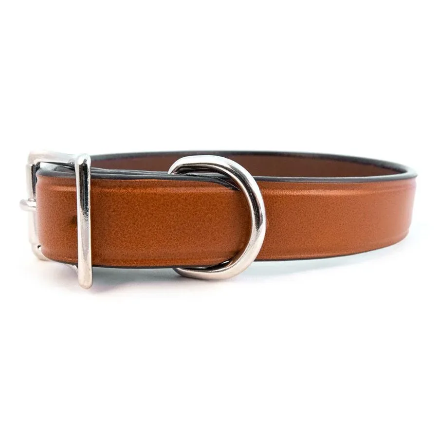 AUBURN Town Collar in Many Colors - Image 2